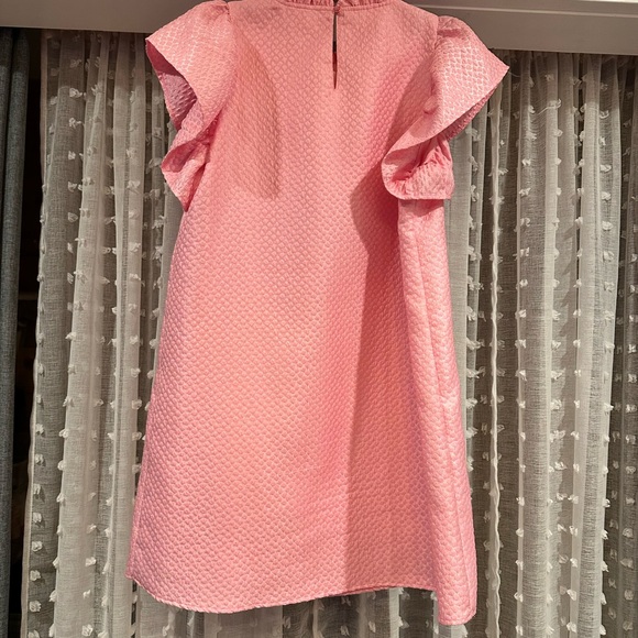 Pink Ruffle Sleeve Dress - Picture 2 of 9